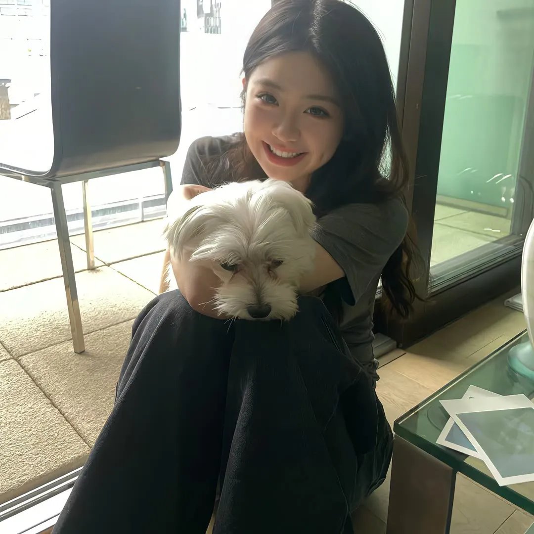 凤舞龙翔